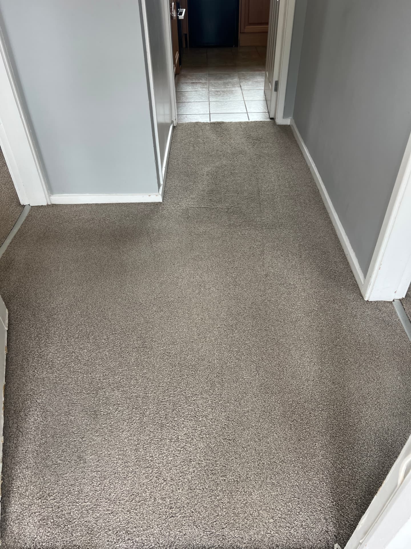 Carpet cleaning in Castlefields, Stafford, after professional cleaning