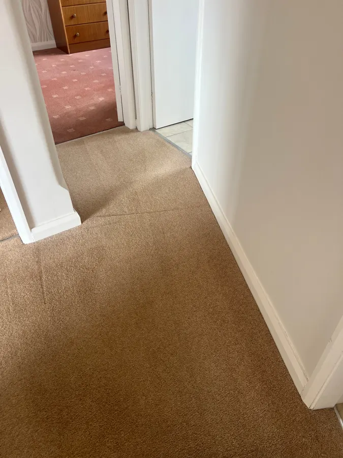 Hallway carpet stain removal before and after in Stafford, after professional cleaning