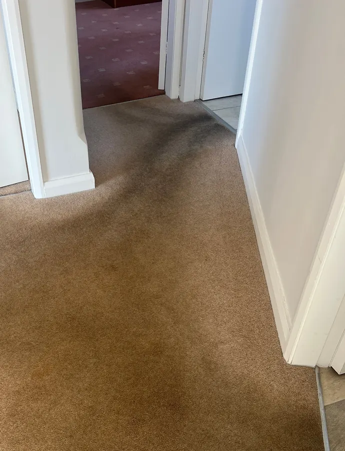Hallway carpet stain removal before and after in Stafford, before professional cleaning